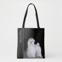 Maltesischer Hund