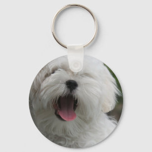 Maltesischer HundeSchlüsselanhänger Schlüsselanhänger