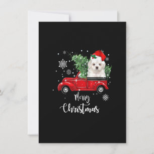 Maltesischer Hundeschritt Red Truck Weihnachten Pa Einladung