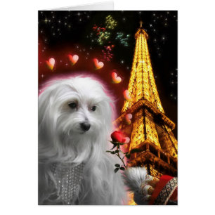 Maltesischer Hundeturm in LIEBE