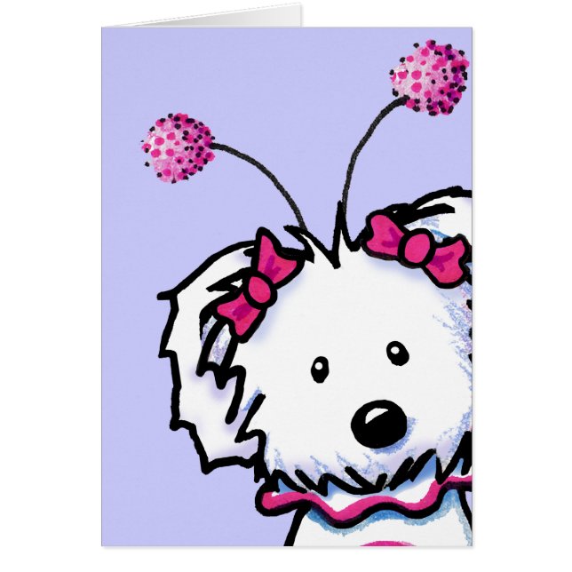 Maltesischer Liebe Bug (Vorne)