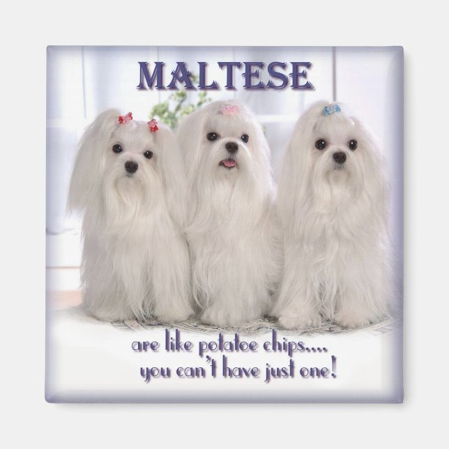 Maltesischer Magnet 1 (Vorne)