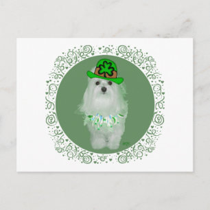 Maltesischer St. Patrick's Day Postkarte