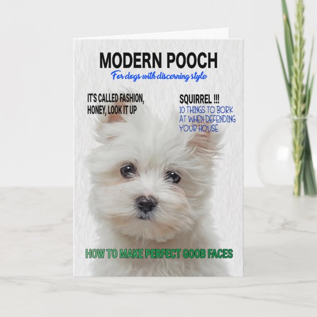 Maltesischer Terrier Parody Magazine Cover Karte (Vorderseite)