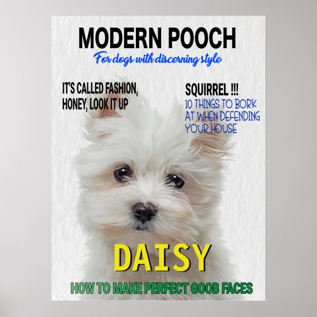 Maltesischer Terrier Parody Magazine Cover Poster (Vorne)