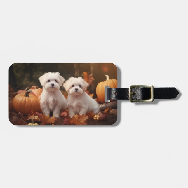 Maltesischer Welpe Autumn Delight Pumpkin Gepäckanhänger (Vorderseite horizontal)
