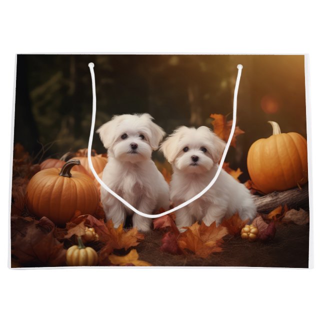Maltesischer Welpe Autumn Delight Pumpkin Große Geschenktüte (Vorderseite)