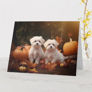 Maltesischer Welpe Autumn Delight Pumpkin Karte