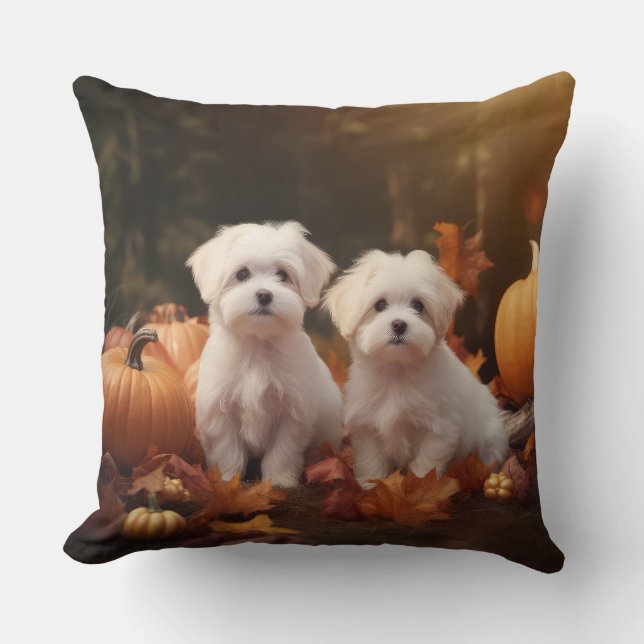 Maltesischer Welpe Autumn Delight Pumpkin Kissen (Vorderseite)