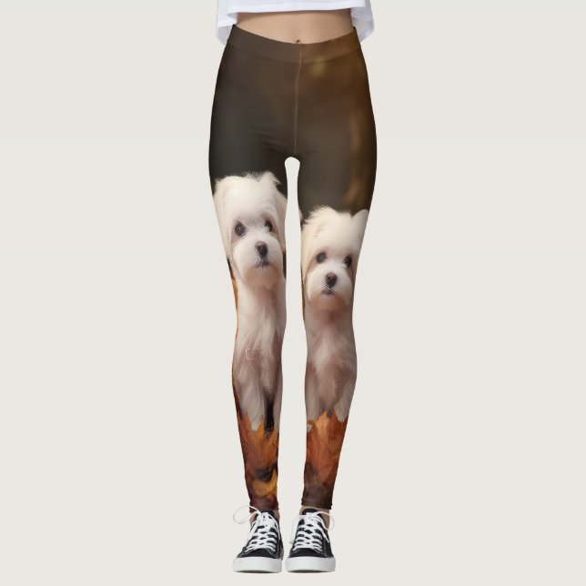 Maltesischer Welpe Autumn Delight Pumpkin Leggings (Vorderseite)