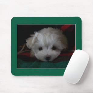 Maltesischer Welpe Eyes Mouse Pad Mousepad