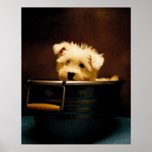 Maltesischer Welpe im Bad Poster