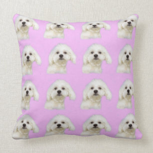 Maltesischer Welpe in Rosa Kissen