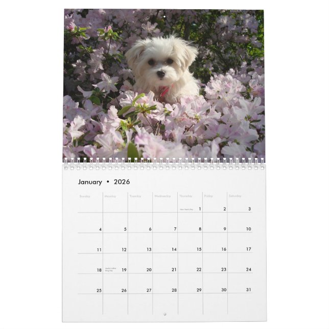 Maltesisches 2010 kalender (Jan 2026)