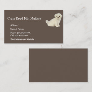 Maltesisches Logo für Hunde Tier-Logo Business Car Visitenkarte