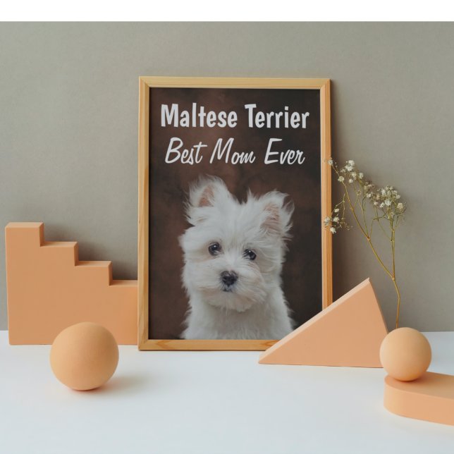 Maltesisches Terrier Best Mama Poster (Von Creator hochgeladen)