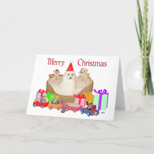 Maltesisches Weihnachten