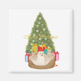 Maltesisches Weihnachten Magnet