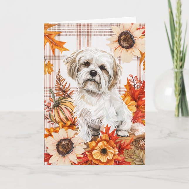 Malti Tzu Dog Fall Erntedank Karte (Vorderseite)