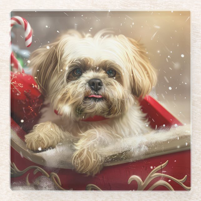 Malti Tzu Dog Weihnachtsfest Glasuntersetzer (Vorderseite)