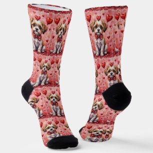 Malti Tzu Valentine Hund sitzt mit Herzen Rot Socken
