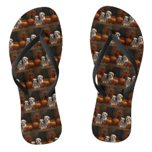 Malti Tzu Welpe Herbstvergnügen Kürbis Flip Flops