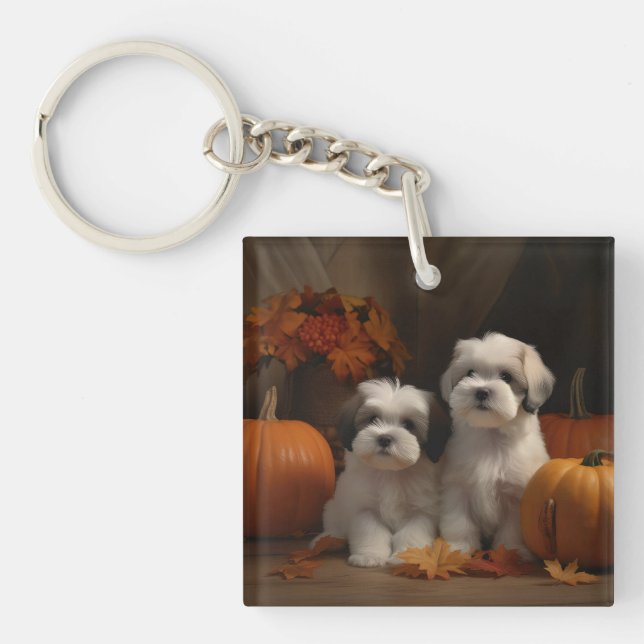 Malti tzu Welppy Autumn Delight Pumpkin Schlüsselanhänger (Vorderseite)