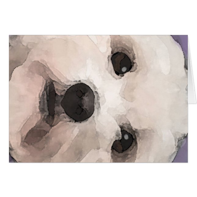 Maltipoo (Vorderseite (Horizontal))