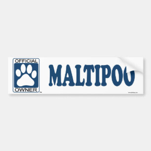 Maltipoo Blau Autoaufkleber