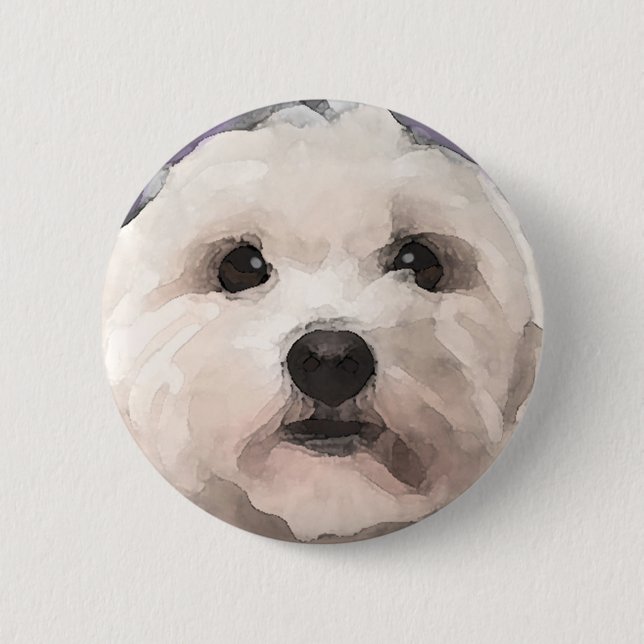 Maltipoo Button (Vorderseite)