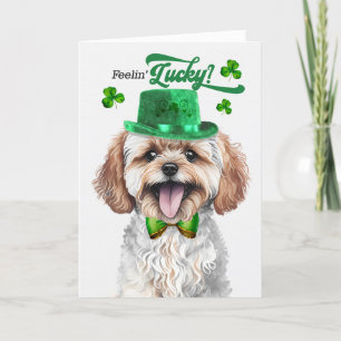 Maltipoo Dog Feelin' Lucky St Patrick's Day Feiertagskarte