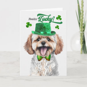 Maltipoo Hund fühlt sich am St. Patrick's Day glüc Feiertagskarte