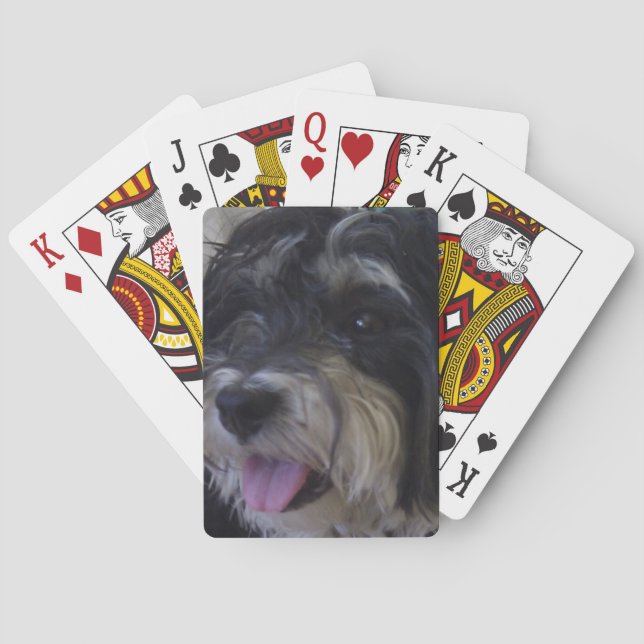 maltipoo Kartenspiel Spielkarten (Rückseite)