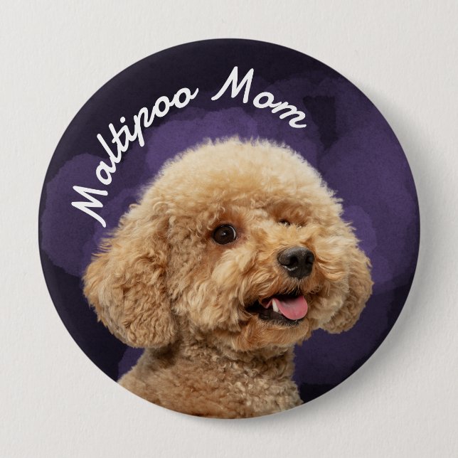 Maltipoo-Mama mit lila Hintergrund Button (Vorderseite)