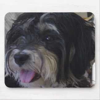 maltipoo mousepad