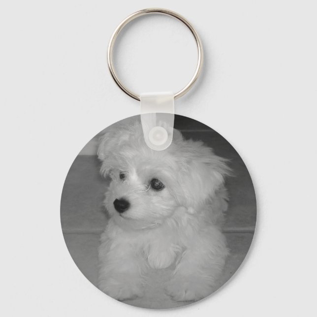 Maltipoo-Schlüsselanhänger Schlüsselanhänger (Vorderseite)