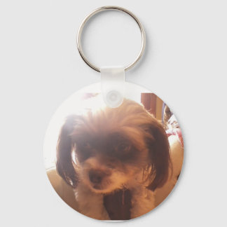 Maltipoo-Schlüsselanhänger Schlüsselanhänger