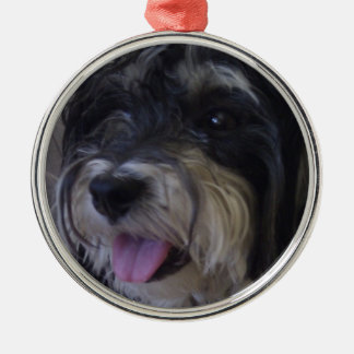 maltipoo Weihnachtsverzierung Ornament Aus Metall