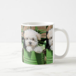 Maltipoo Welpen-Kaffee-Tasse Kaffeetasse