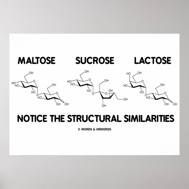 Maltose Saccharose Lactose Strukturähnliche Eigens Poster (Vorne)