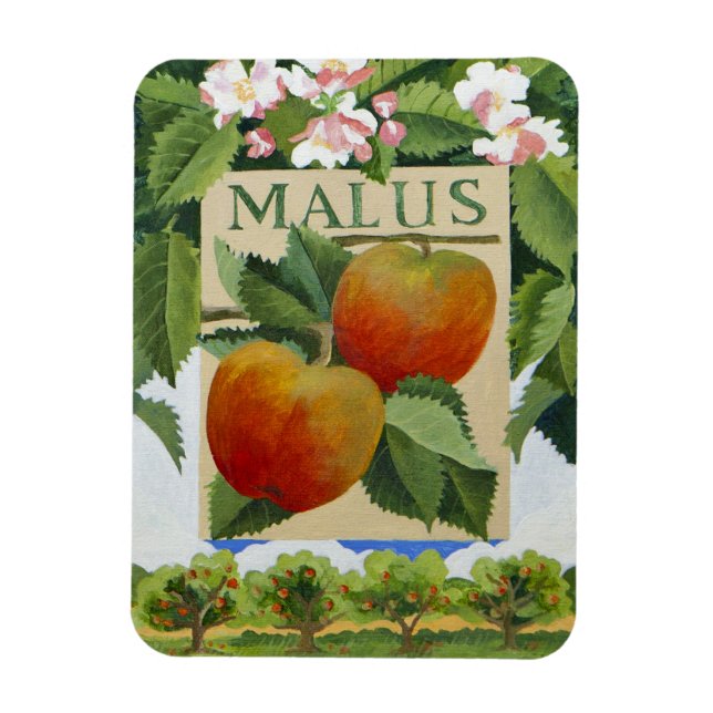Malus Magnet (Vertikal)