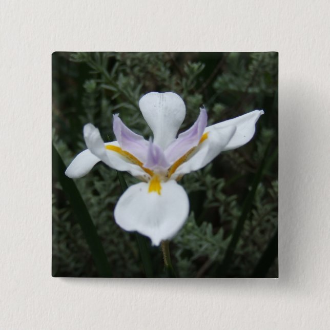 MALVENFARBENES IRIS-BLUMEN-ABZEICHEN BUTTON (Vorderseite)