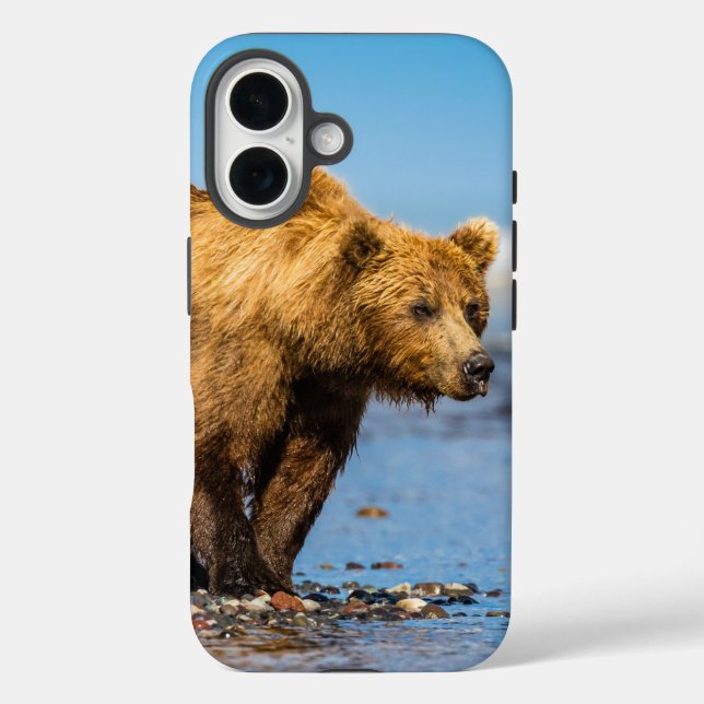 Mama Bären beobachtet ihre beiden Kinder iPhone 16 Hülle (Rückseite)