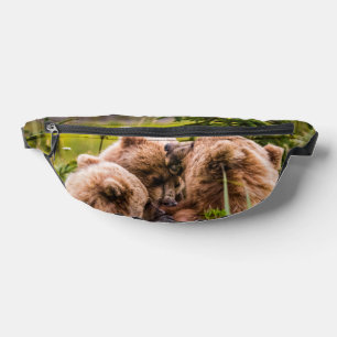 Mama Bären pflegen ihre zwei Jungen, Lake Clark Na Bauchtasche