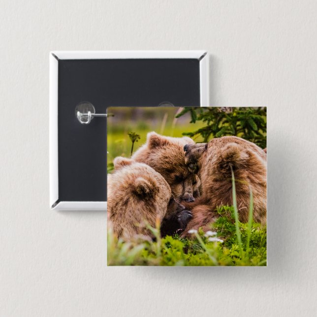 Mama Bären pflegen ihre zwei Jungen, Lake Clark Na Button (Vorne & Hinten)