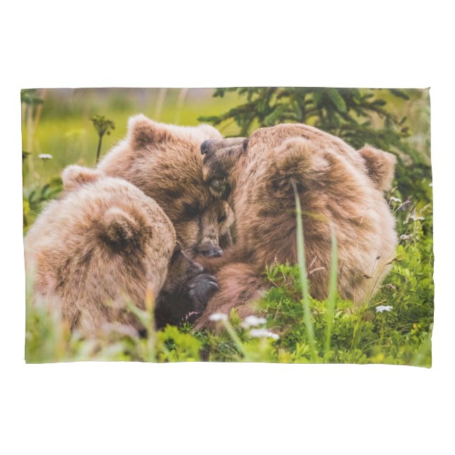 Mama Bären pflegen ihre zwei Jungen, Lake Clark Na Kissenbezug (Vorderseite)