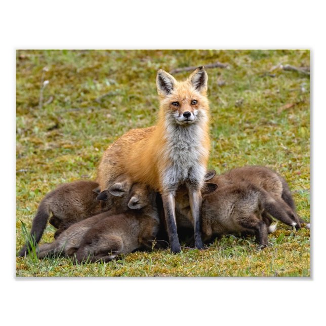 Mama bietet ein Familienessen Fotodruck (Vorne)