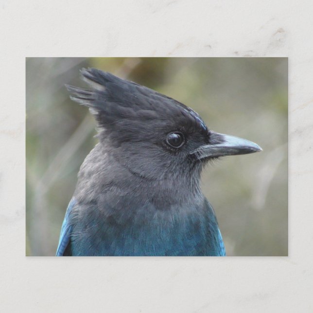 Mama Blue Postcard Postkarte (Vorderseite)