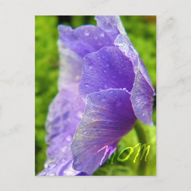 Mama Blume Postkarte (Vorderseite)