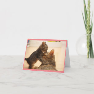 Mama Chat Avec Carte De Voeux Kitten